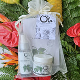 A luxurious spa gift set including Rainforest scented sea salt soak, mineralizing deep sea mist, and body butter, all packaged in an organza bag with a branded hang tag. Travel friendly. Great value