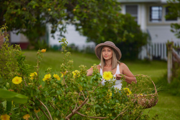 Welcome to Ola Tropical Apothecary Farm!