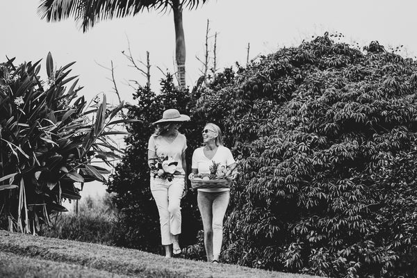 Six foods to reduce stress and nourish your body