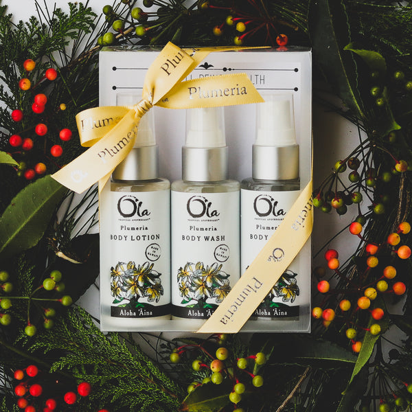 Celebrating the Holidays with Aloha!