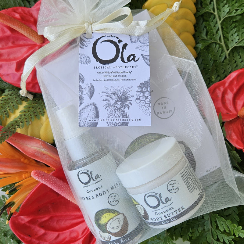 A luxurious spa gift set including Coconut scented sea salt soak, mineralizing deep sea mist, and body butter, all packaged in an organza bag with a branded hang tag.  Travel friendly. Great value