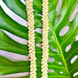 Pikake, Hawaiian Jasmine, intoxicating scent, sensual scent, iconic Hawai'i