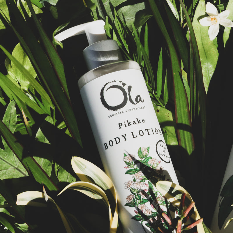 Pikake Body Lotion | 8 fl oz