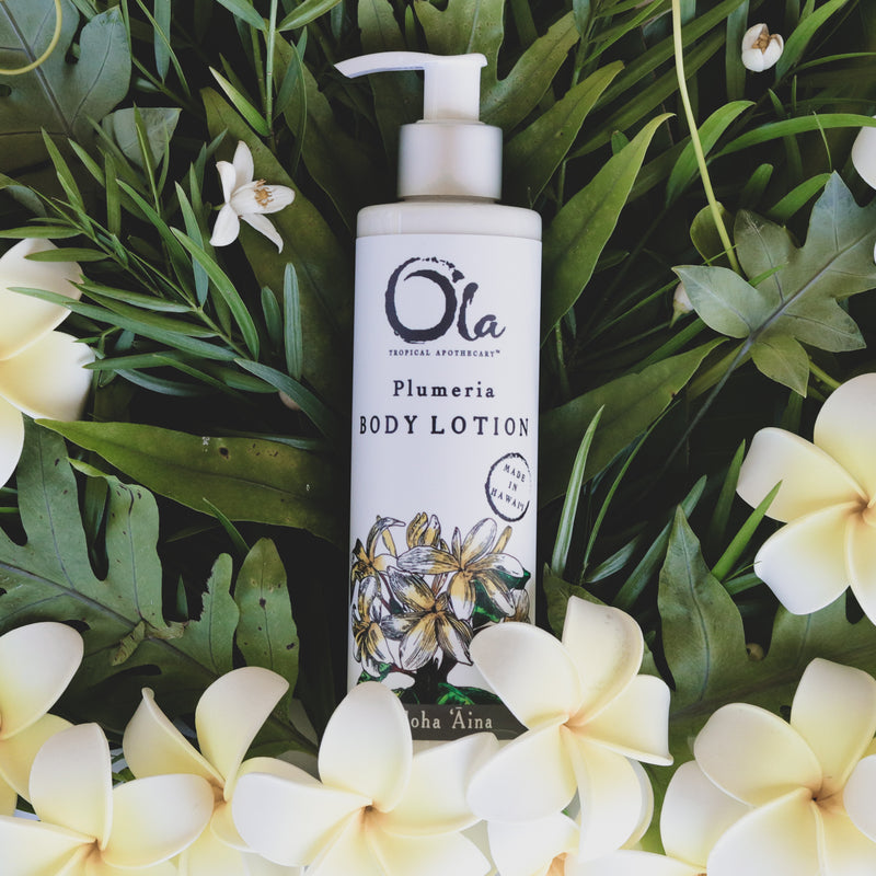 Plumeria Body Lotion | 8 fl oz