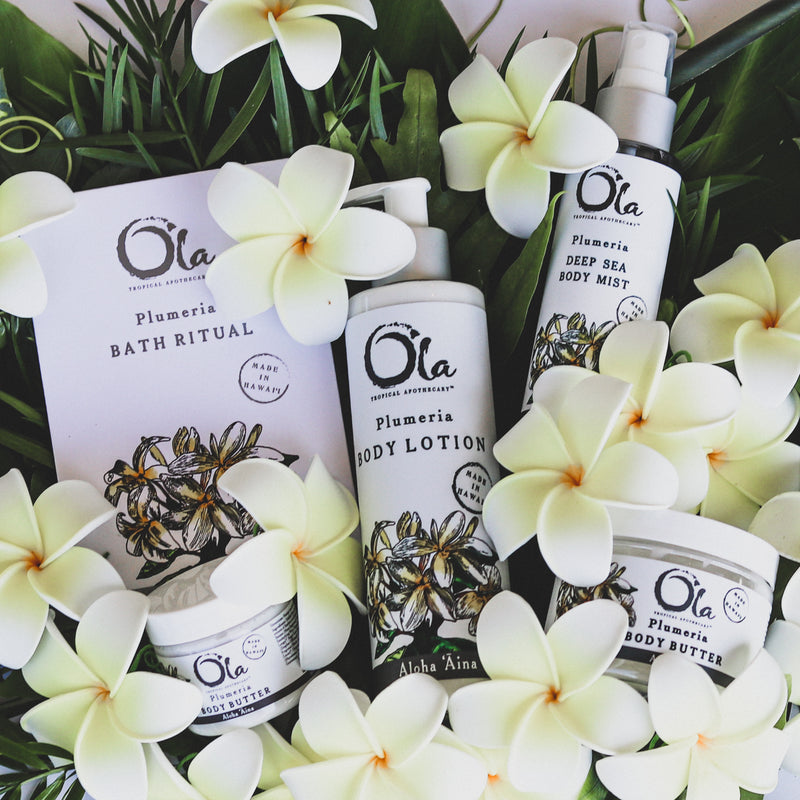 Plumeria Body Lotion | 8 fl oz