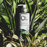 Rainforest Body Lotion | 8 fl oz