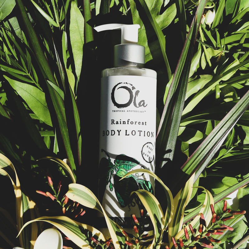 Rainforest Body Lotion | 8 fl oz