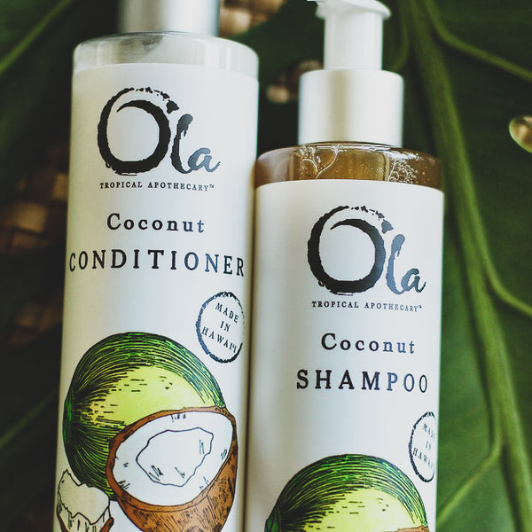 Coconut Hair Pair (Shampoo + Conditioner)